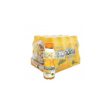FLORIDINA ORANGE 360mlx12 pcs