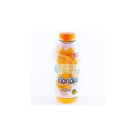 FLORIDINA ORANGE 360ml