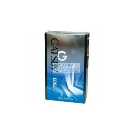 GATSBY Eau De Toilette COOL 100 ml
