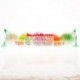 SWALLOW  ORANGE S0146