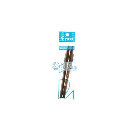 PILOT PEN BPT-P HITAM 2 S