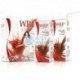 WRP DIET TO GO CHOCOLATE 2X200ml