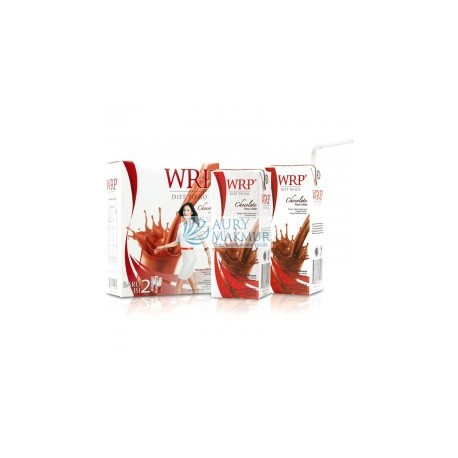 WRP DIET TO GO CHOCOLATE 2X200ml