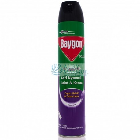 BAYGON Insecticide Aerosol 750ml