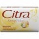 CITRA Soap Bar LASTING WHITE BENGKOANG 70gr