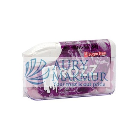 FROZZ BLUEBERRY MINT 15gr