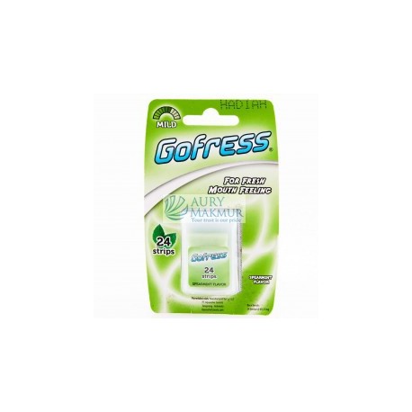 GO FRESS SPEARMINT 24S