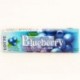 LOTTE GUM BLUEBERRY 15gr